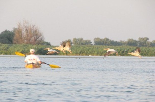 Ziua maritimă europeană 2013 pune accentul pe zonele de coastă şi turism maritim